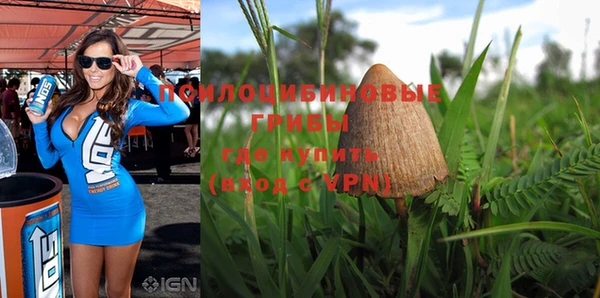 ALPHA-PVP Белокуриха